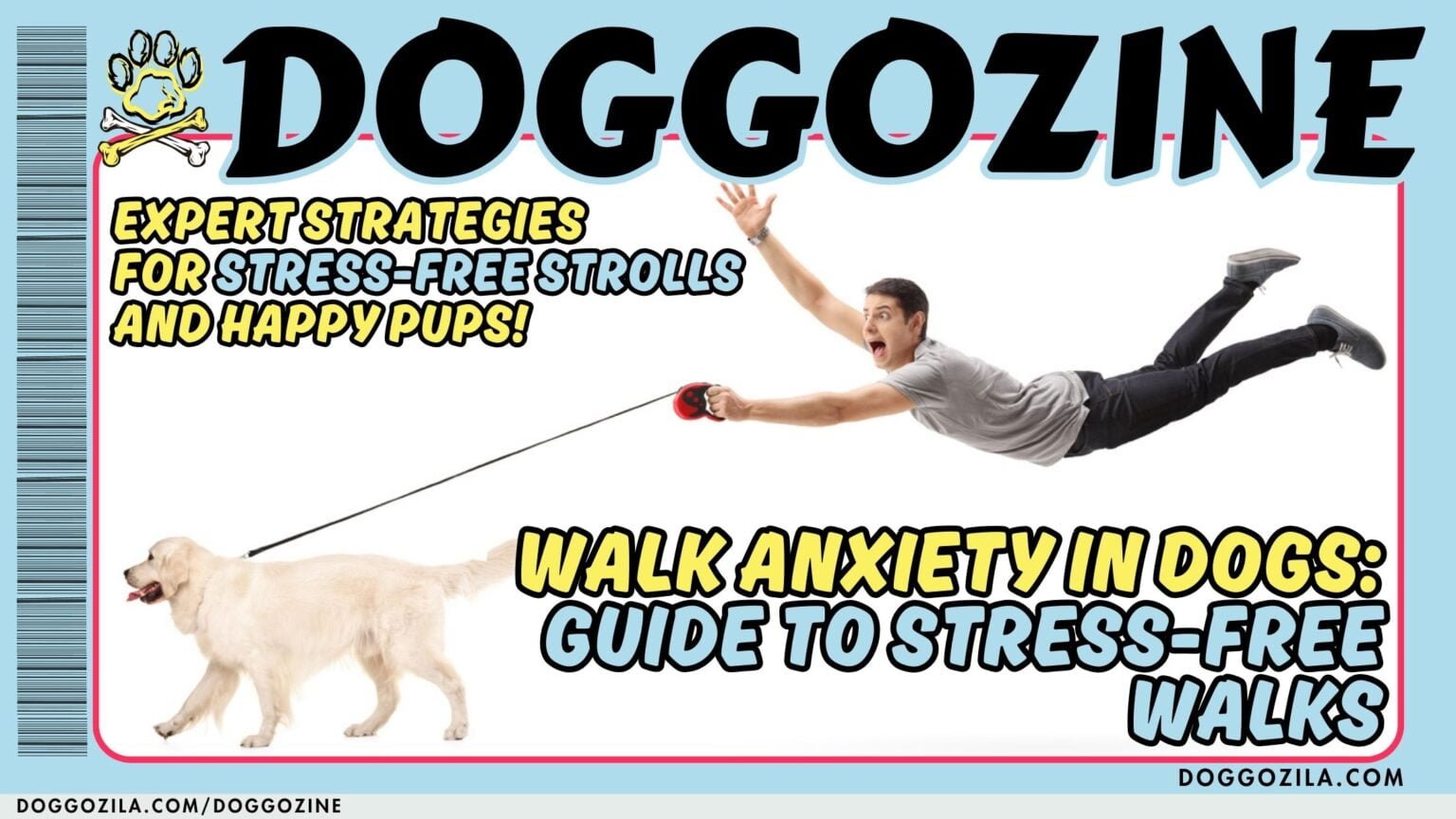 WALK ANXIETY IN DOGS