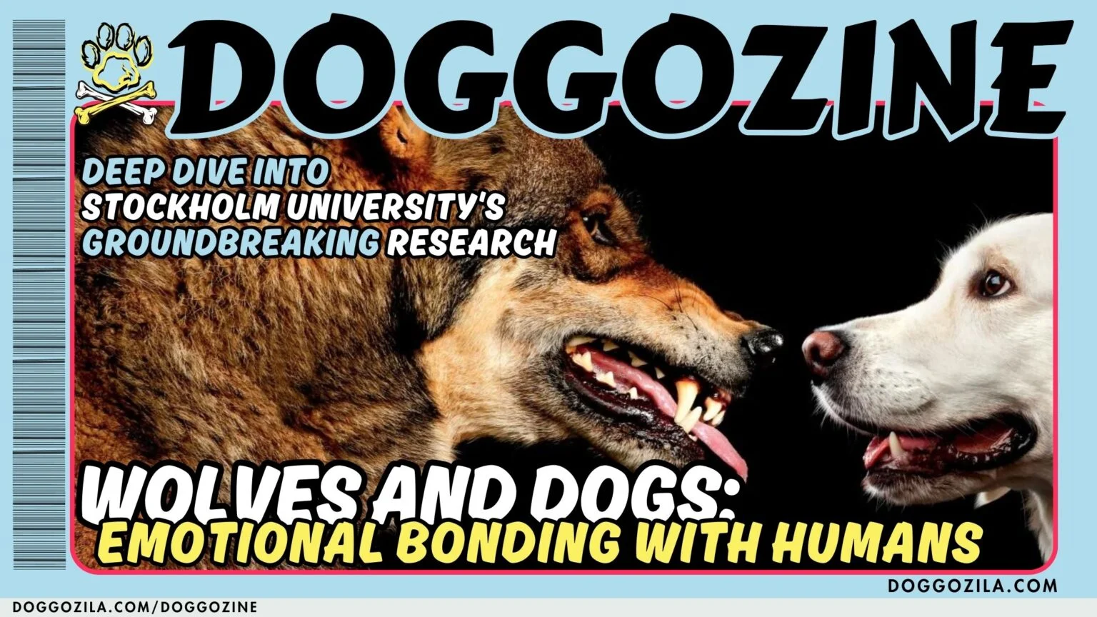 STOCKHOLM UNIVERSITY'S GROUNDBREAKING RESEARCH