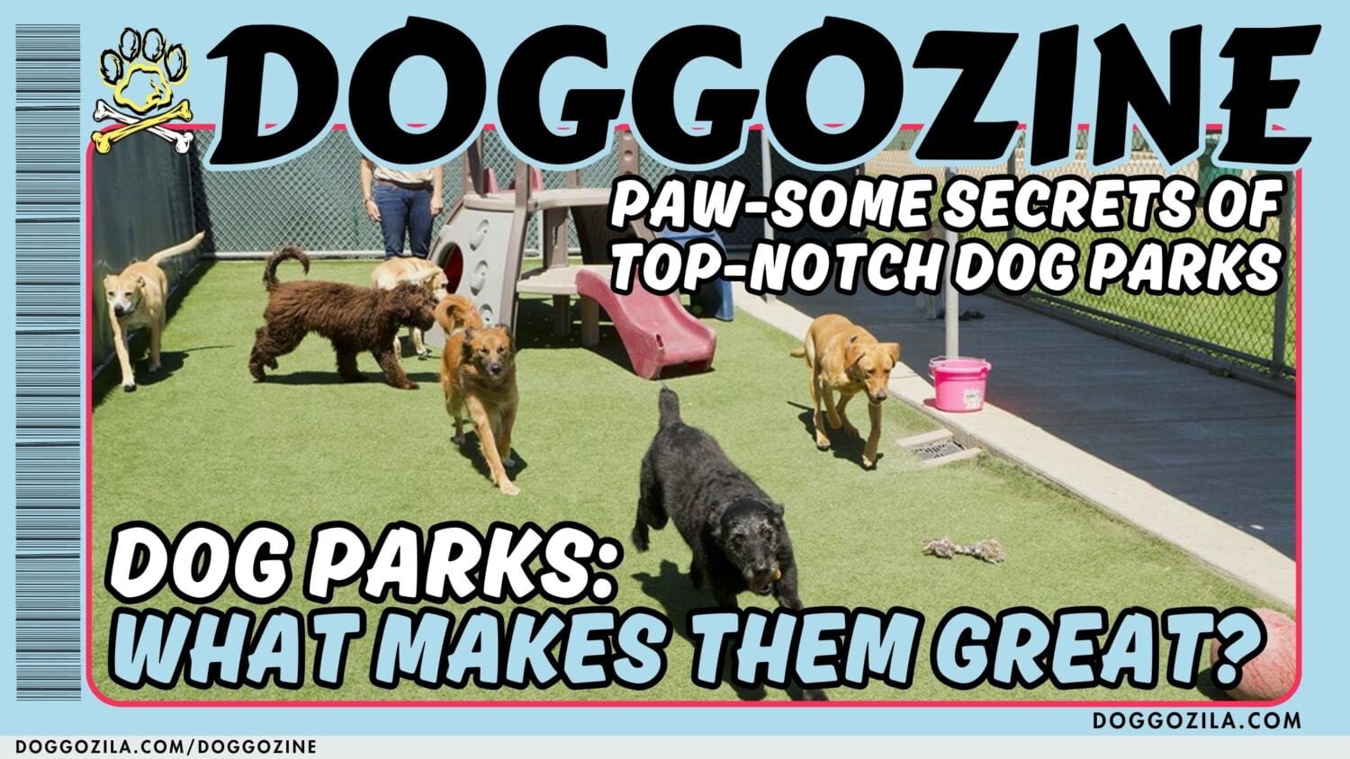 read about dog parks