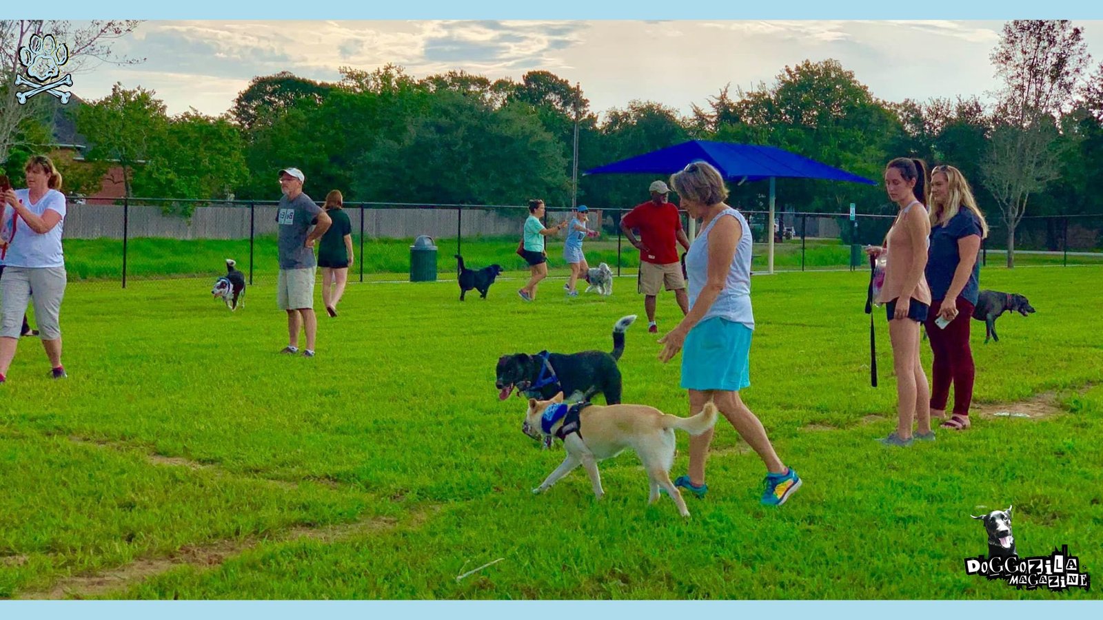 puppies playtime