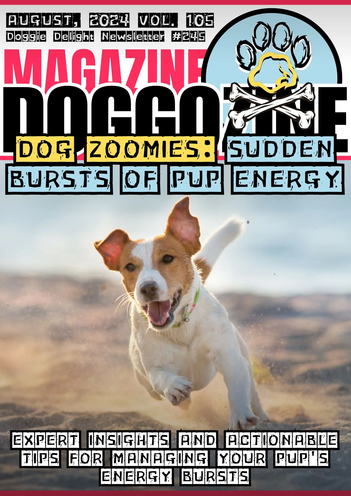 dog zoomies front cover magazine
