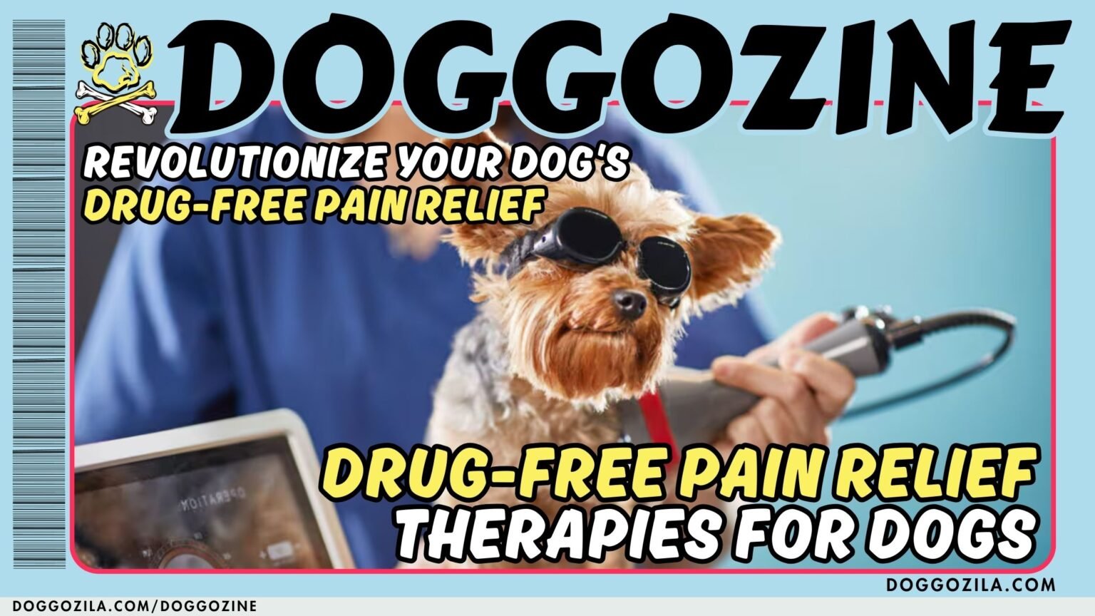 drug-free therapy for dogs