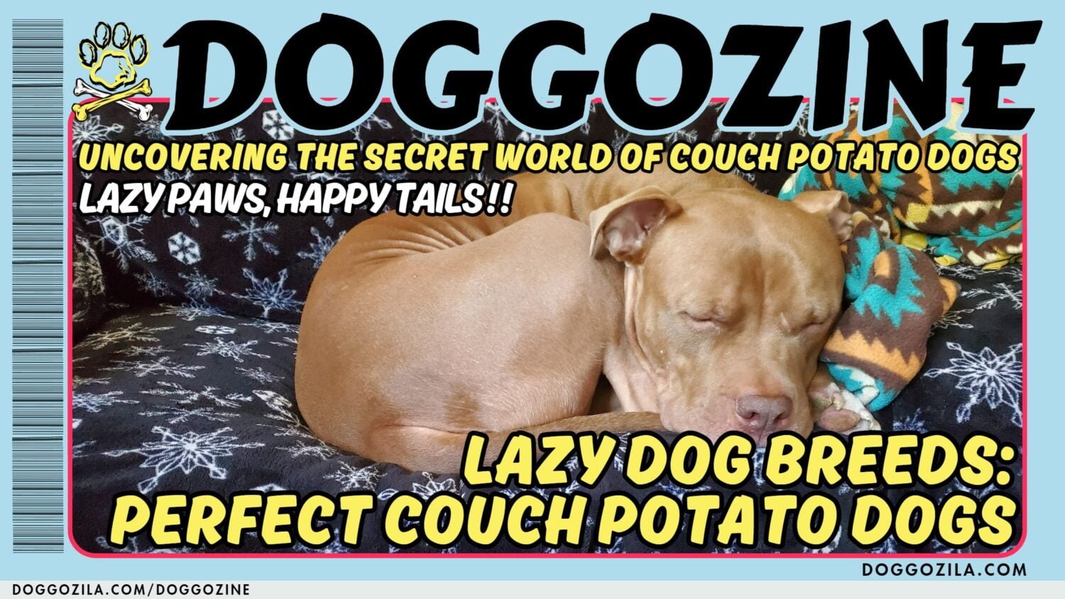 perfect couch potato dogs