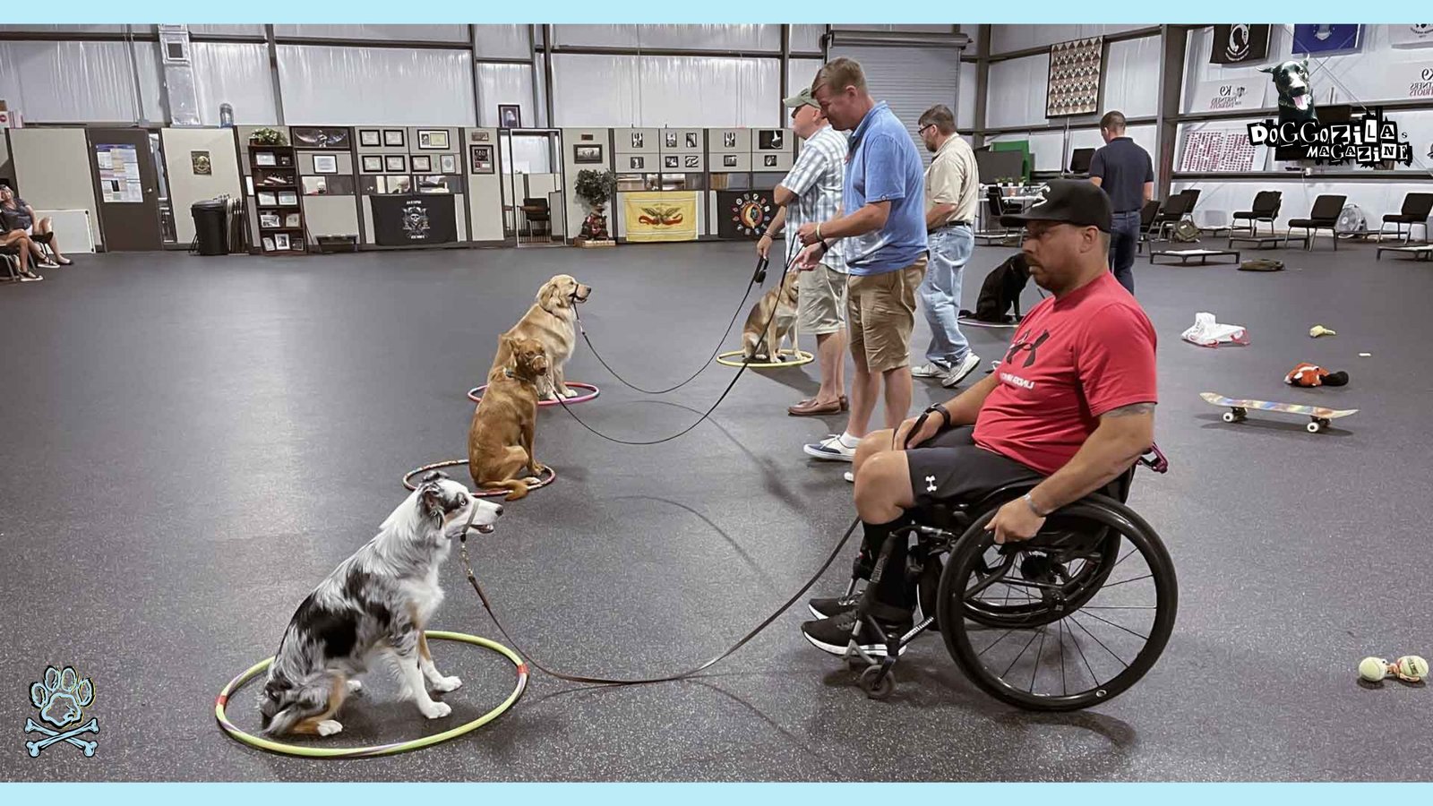 service dogs training