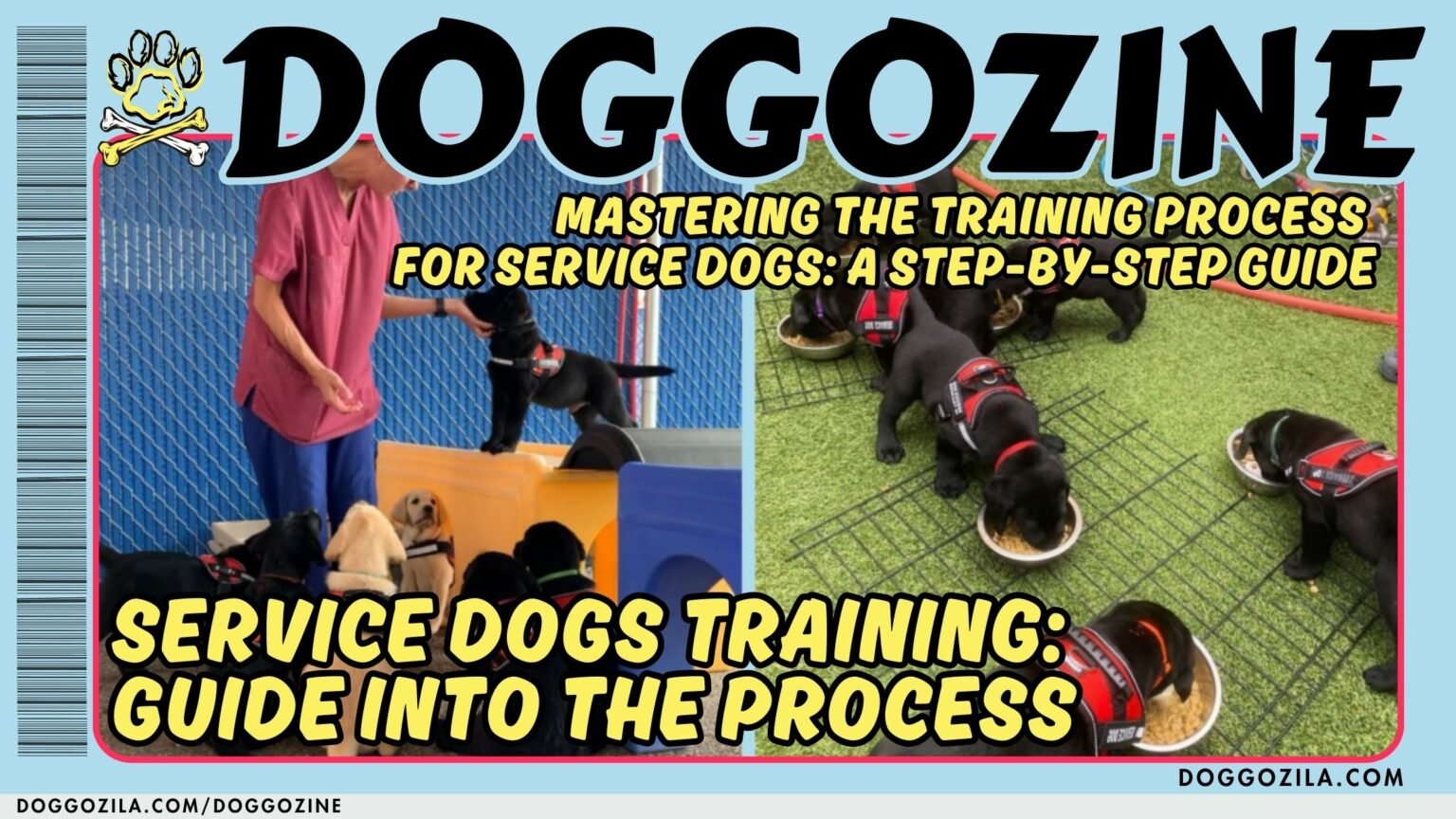 service dogs training