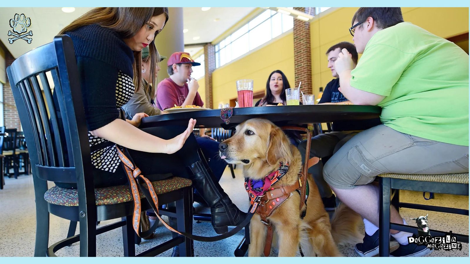 service dogs training