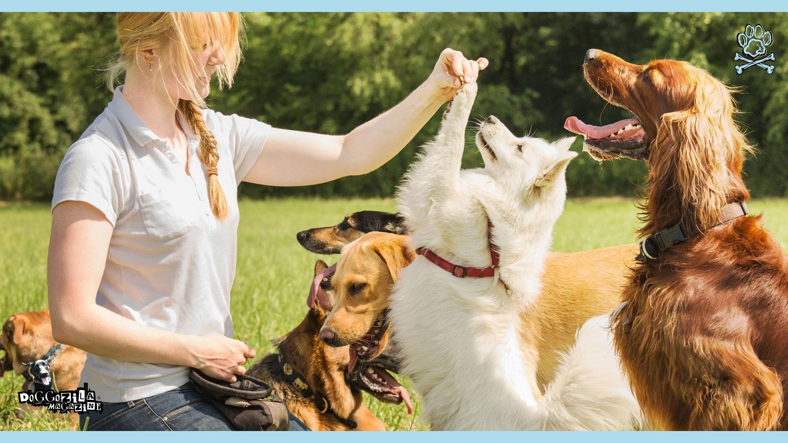 puppies having fun