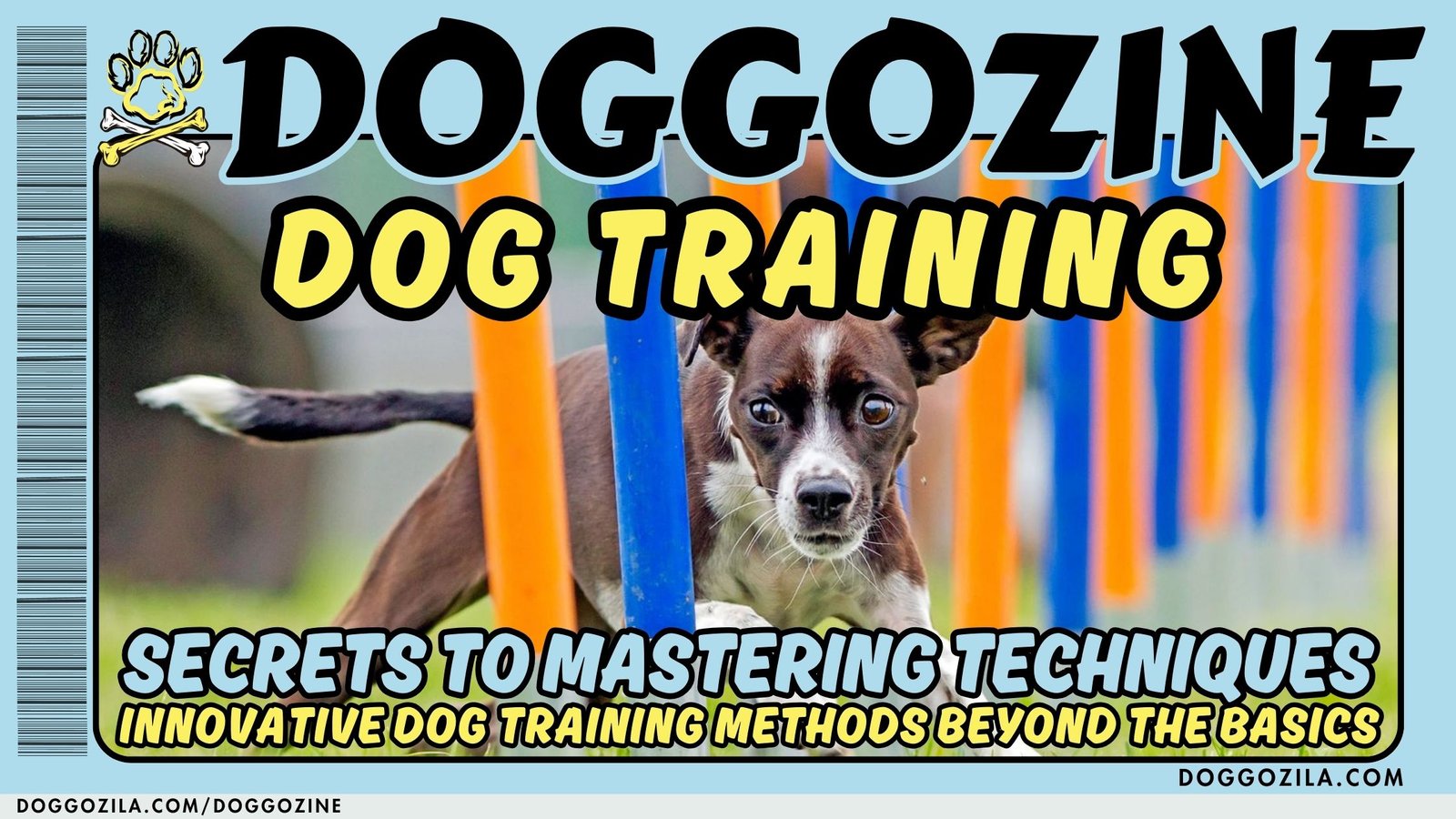 DOG TRAINING: SECRETS TO MASTERING TECHNIQUES