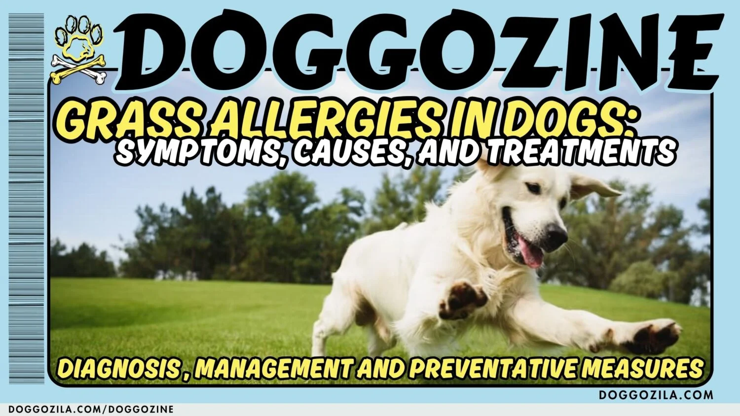 Grass Allergies in Dogs