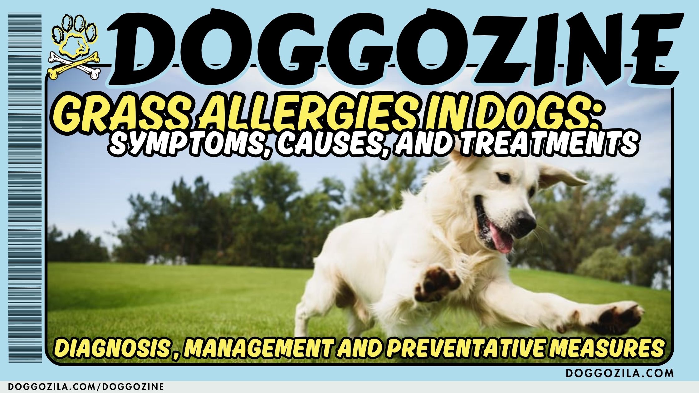 Image showcasing Grass Allergies in Dogs: Symptoms, Causes, and Treatments • Doggozila