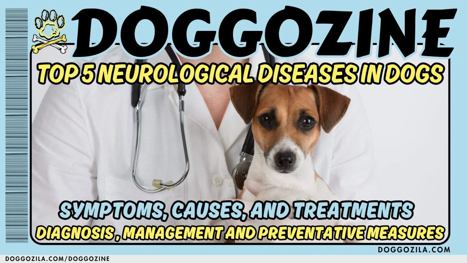 Neurological Diseases in Dogs