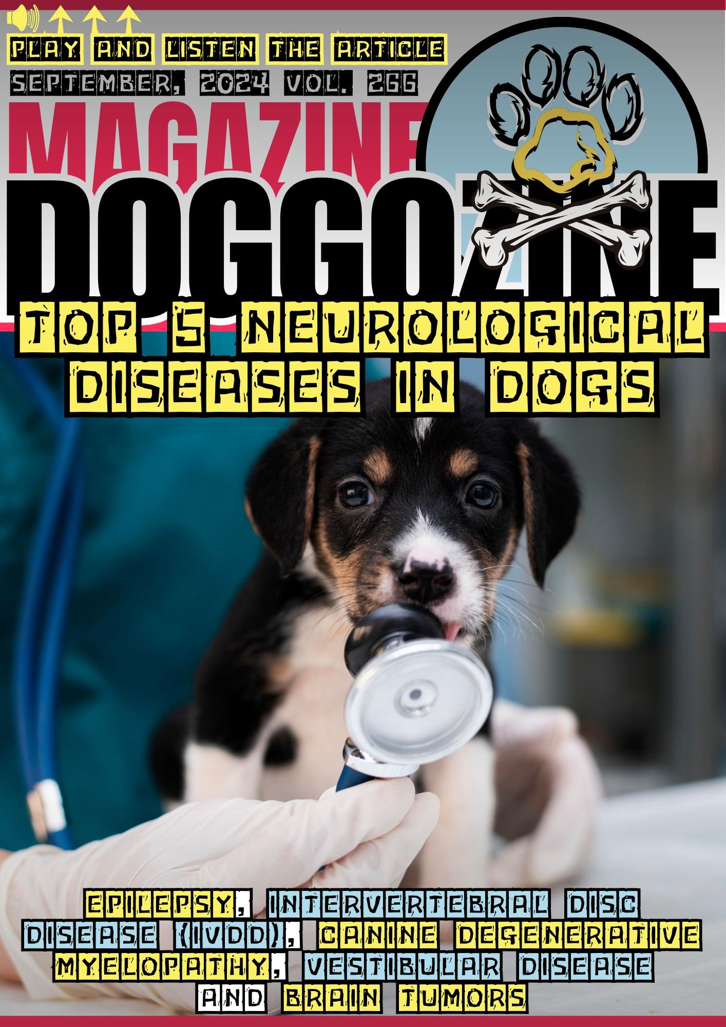 Top 5 Neurological Diseases in Dogs