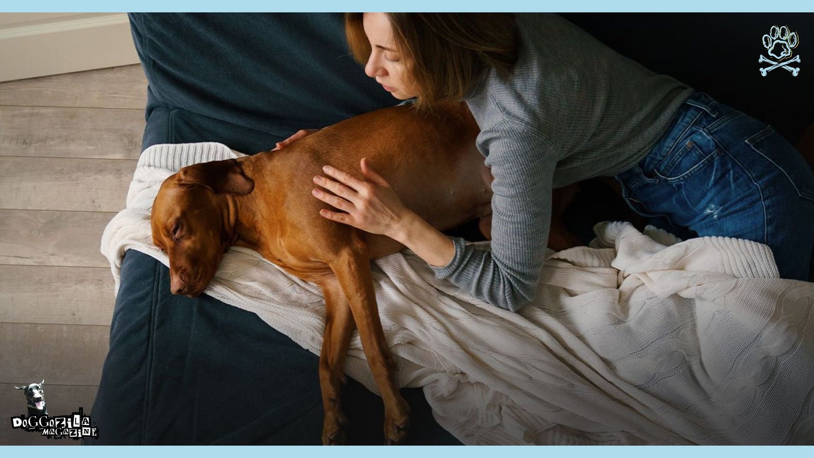 Do Dogs Suffer When Being Put to Sleep?