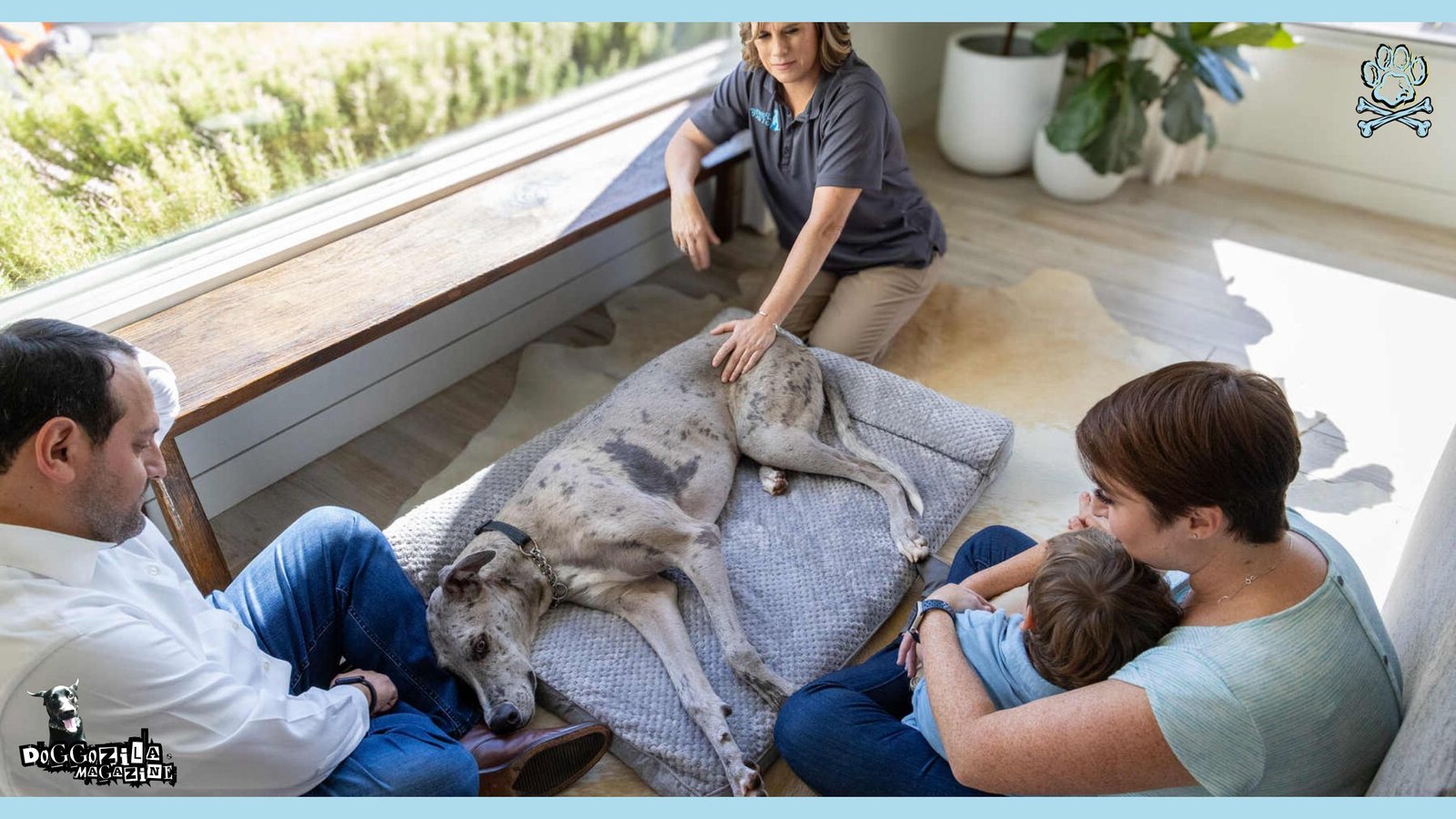 last moments of the dog with his family