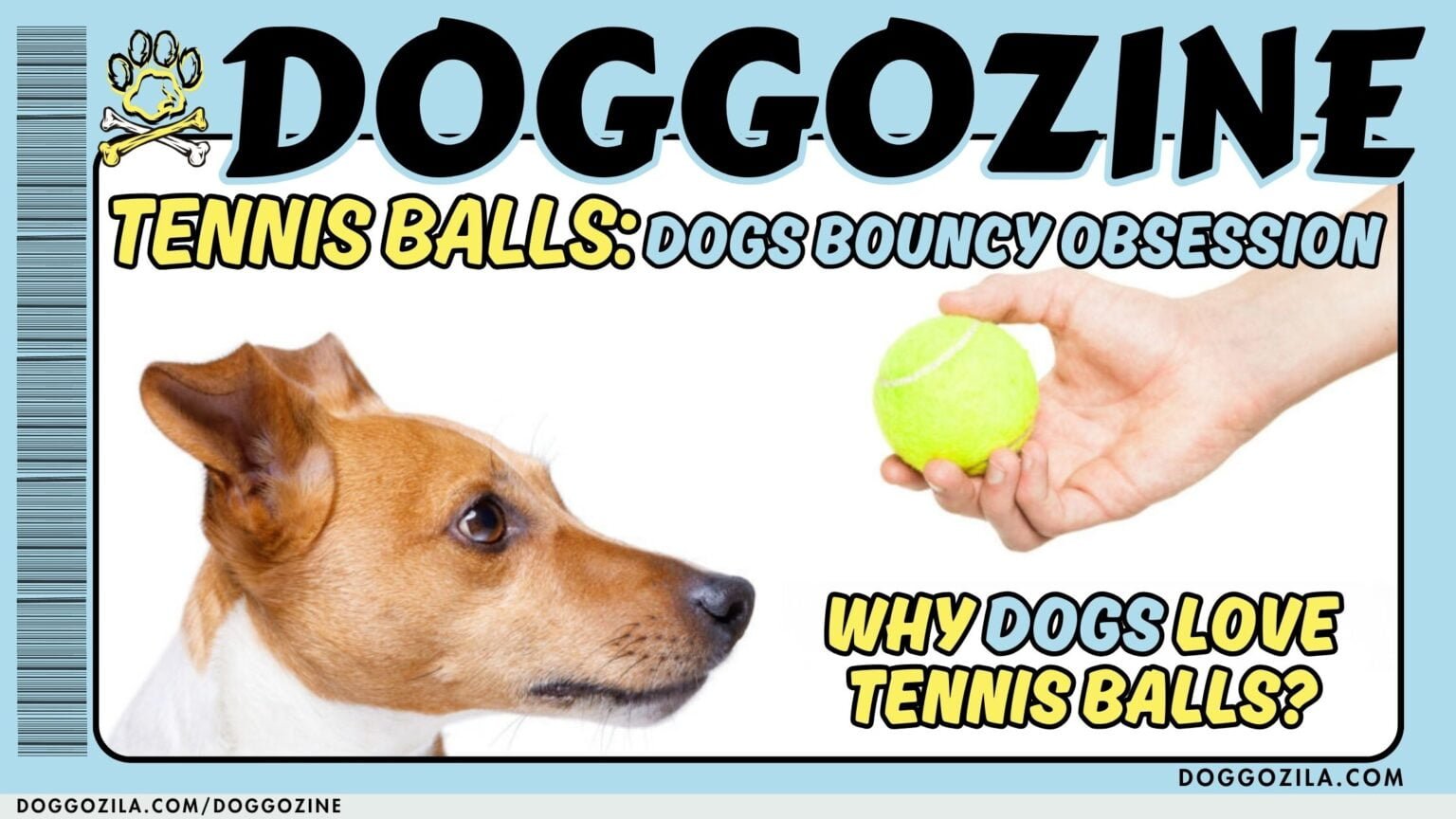 dogs and tennis balls