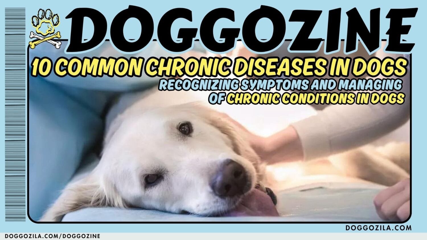 10 common Chronic Diseases in Dogs