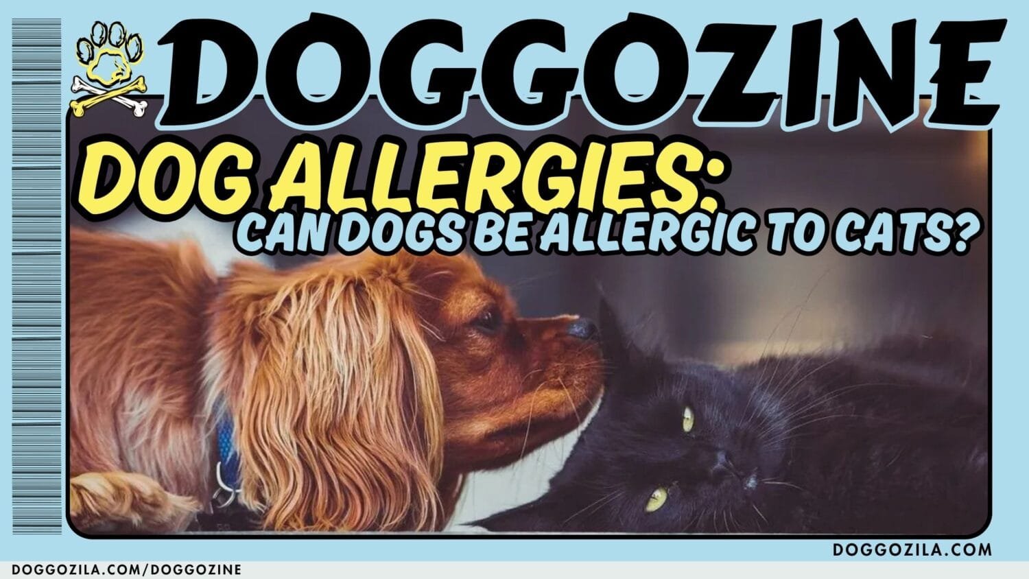 Dog Allergies: Can Dogs Be Allergic to Cats?