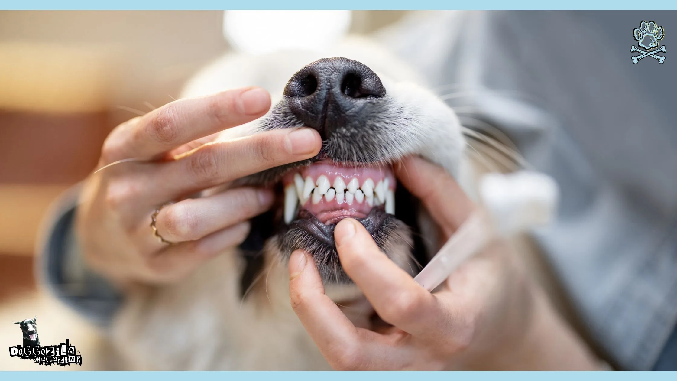 puppy with pearly whites teeth