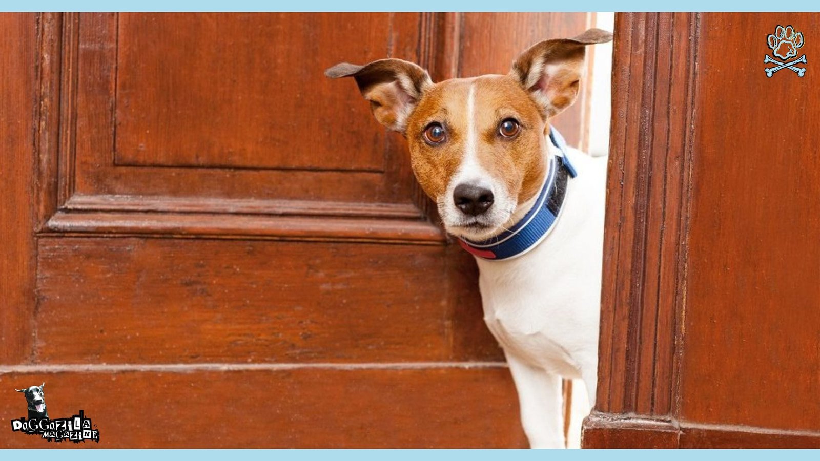 Doorbell Dog Etiquette