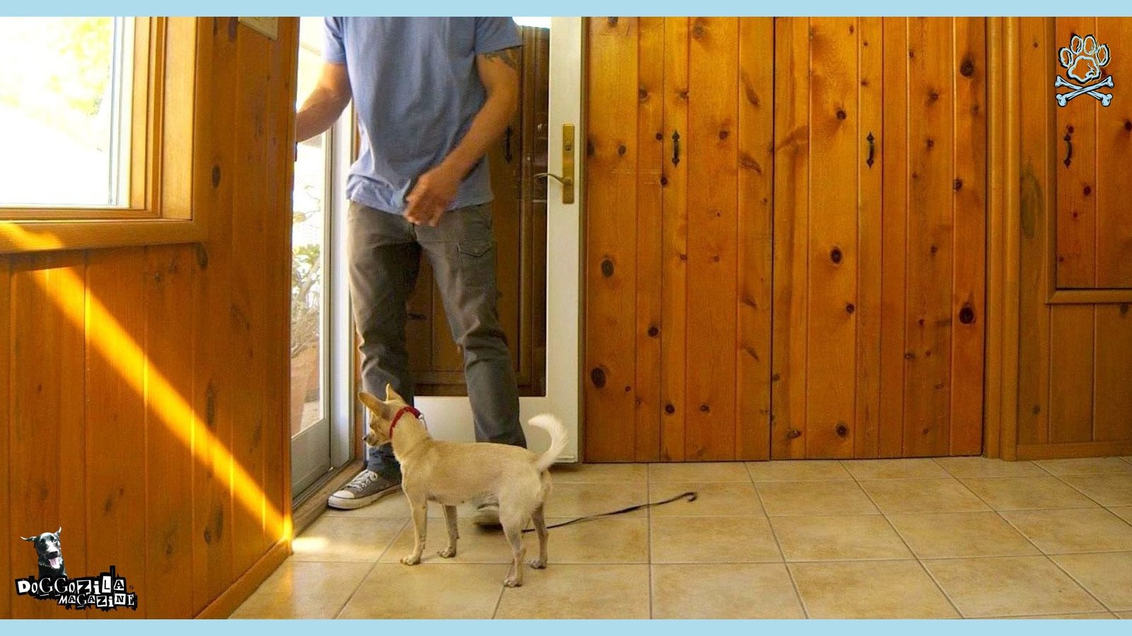 Doorbell Dog Etiquette Training