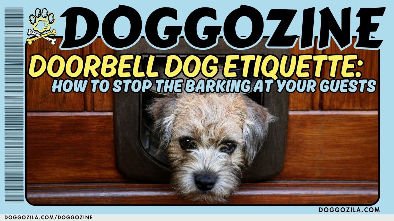 How To Stop The Barking at Your Guests