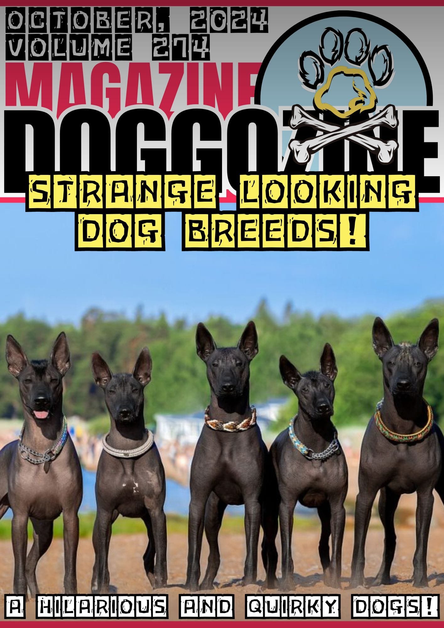 Strange Looking Dog Breeds