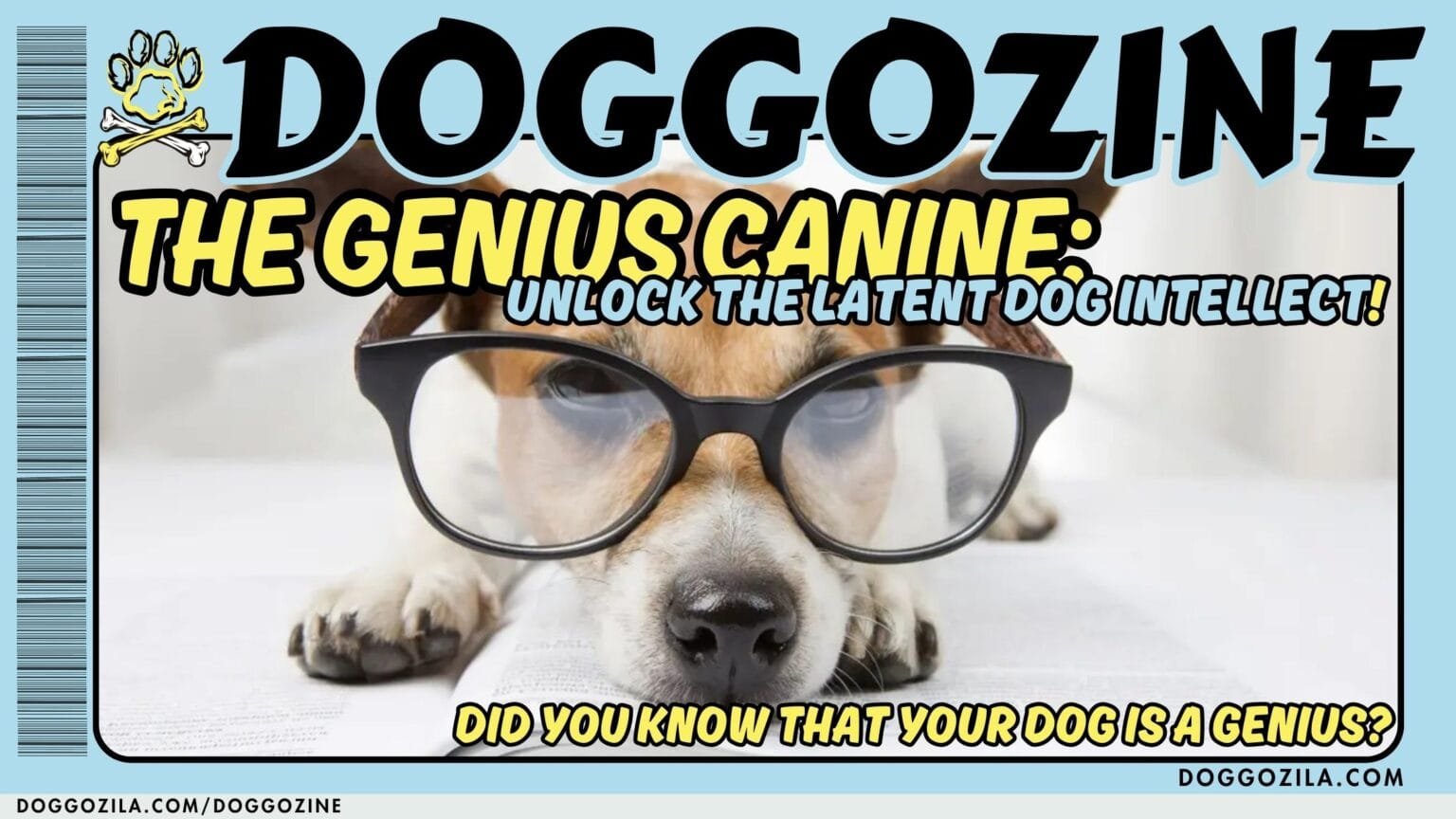 The Genius Canine