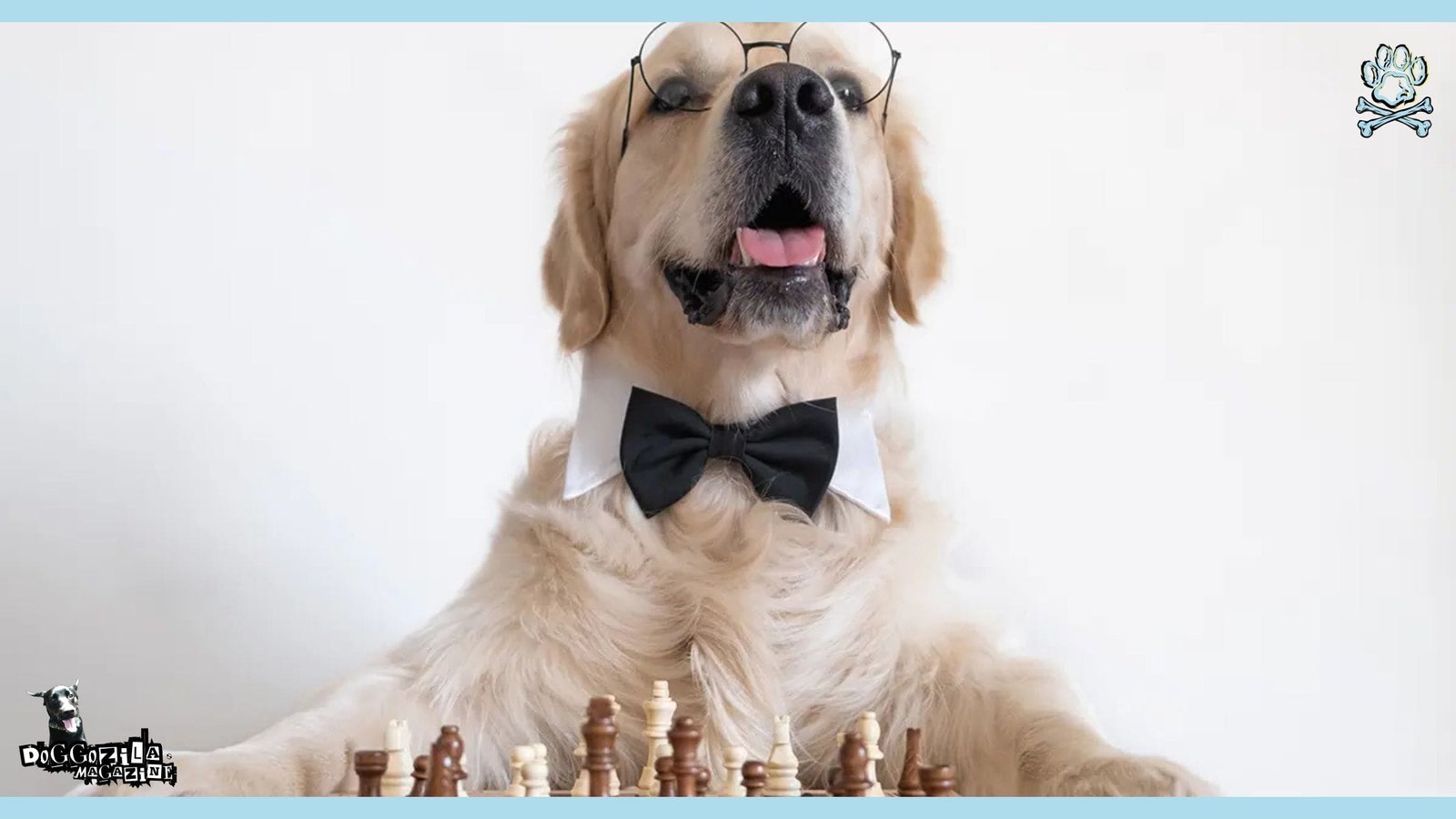 dog playing chess