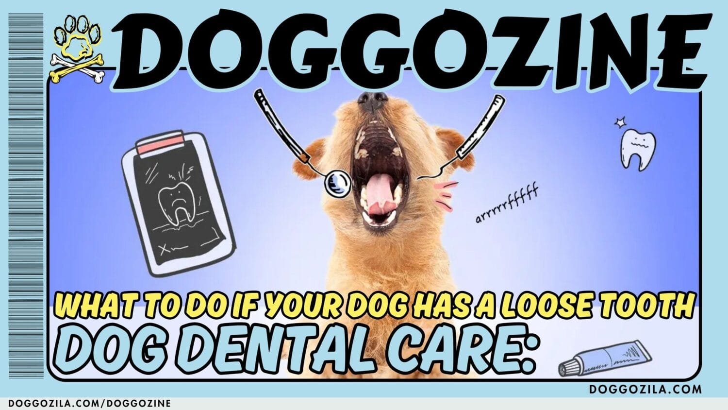 Dog Dental Care