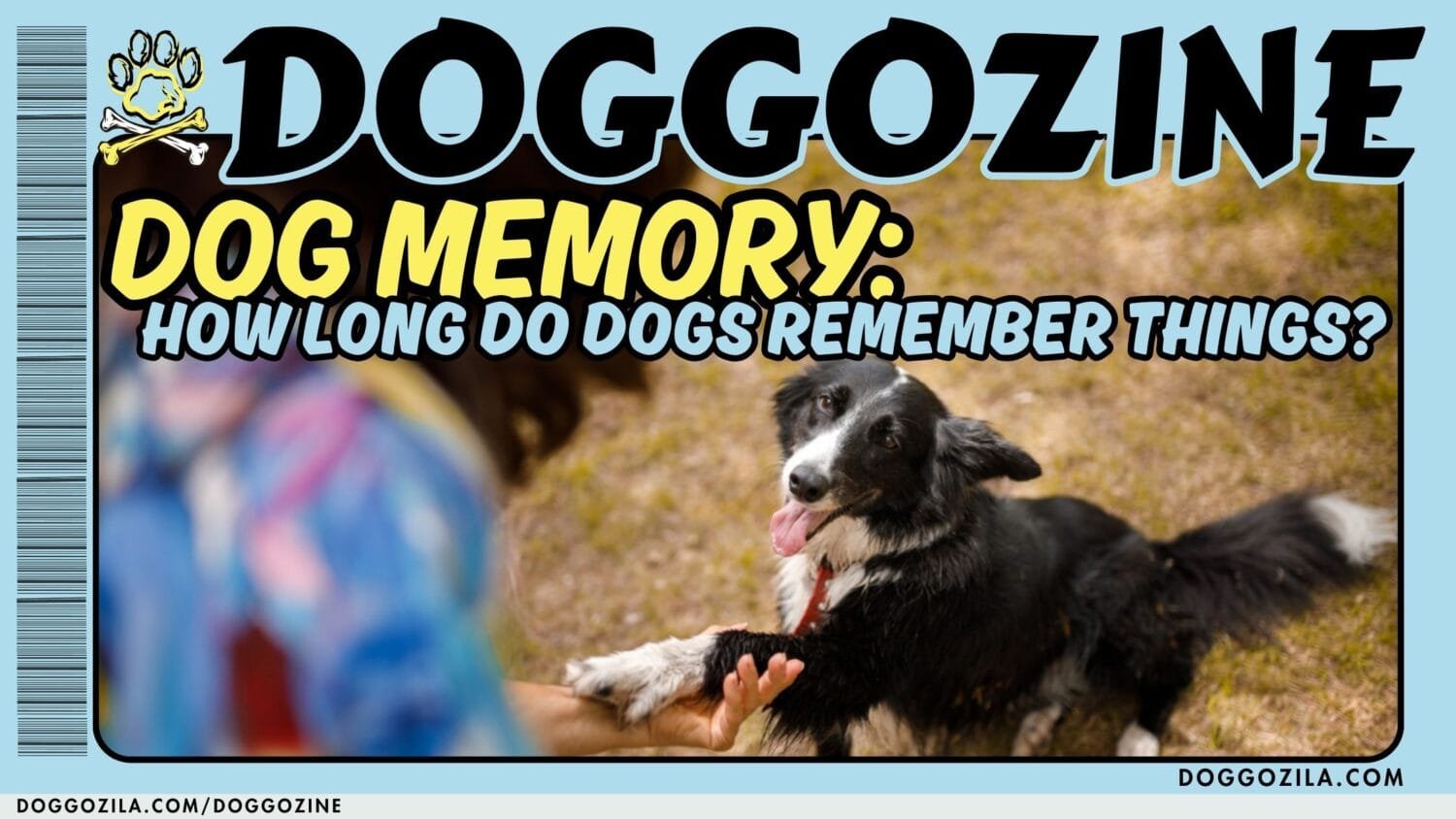 dog memory