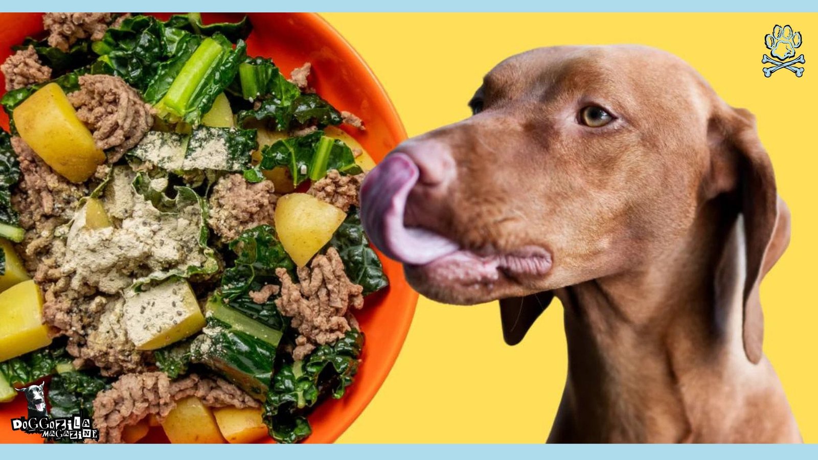 homemade dog diet