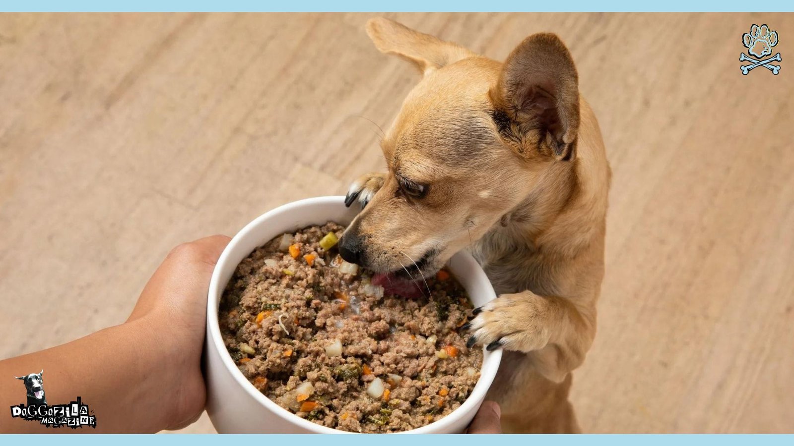 healthy dog food made at home