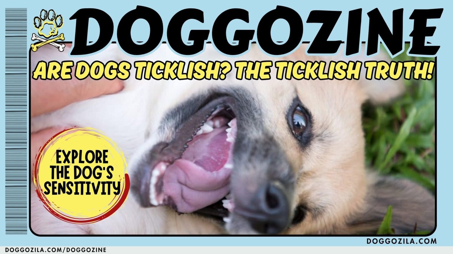 ARE DOGS TICKLISH