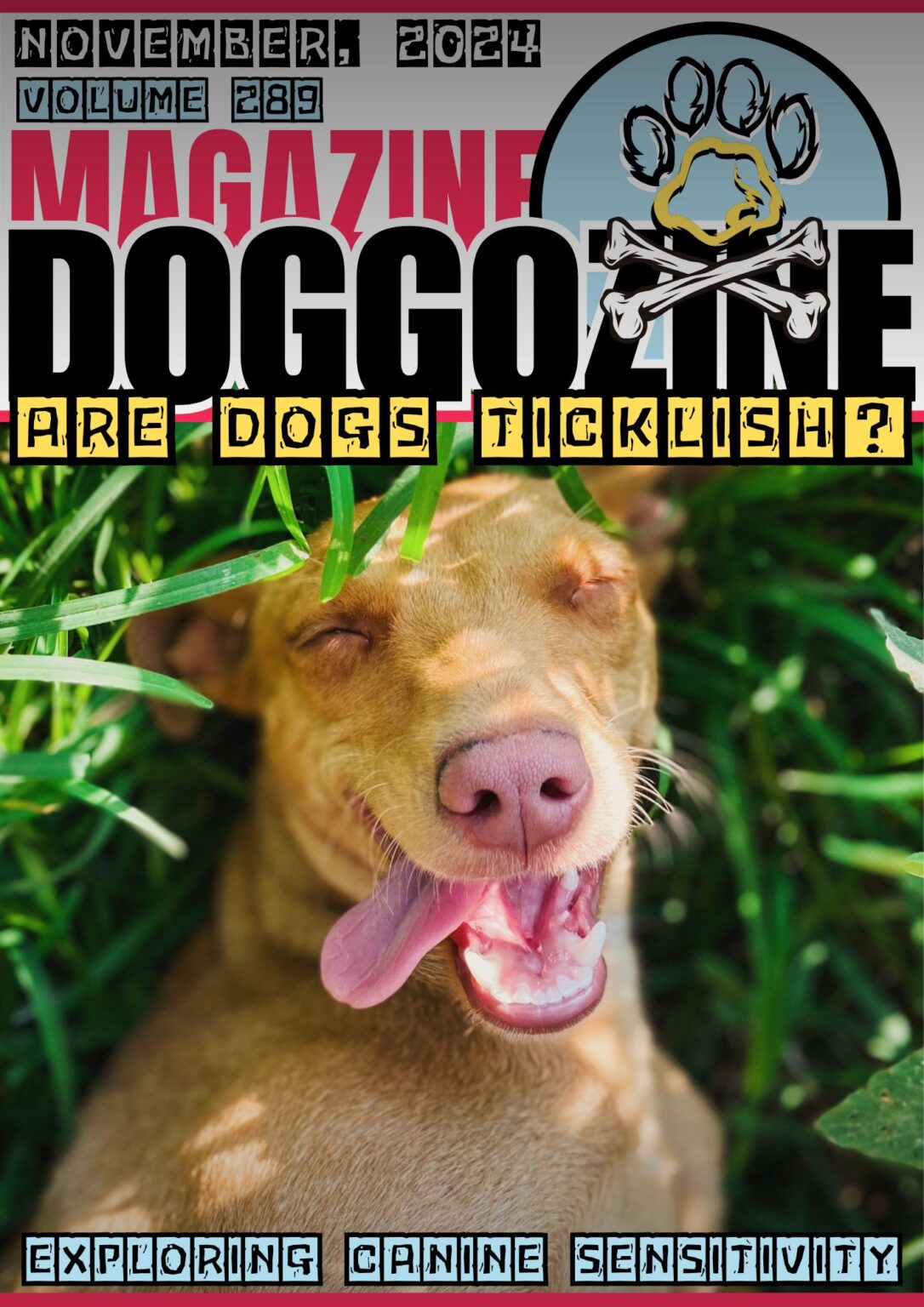 Are Dogs Ticklish? Exploring Canine Sensitivity • Doggozila Magazine
