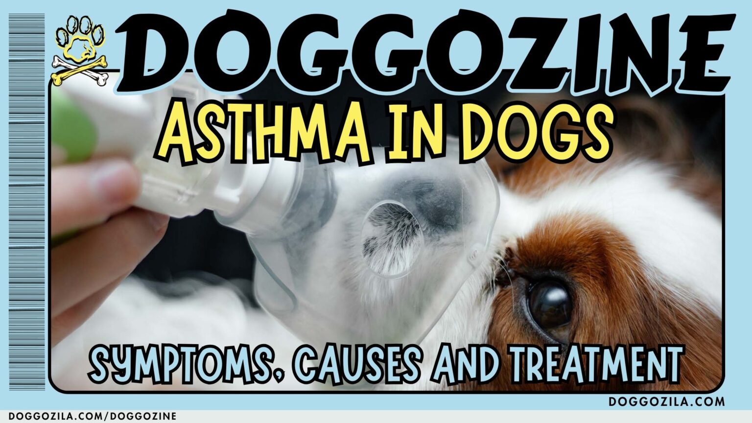 Asthma in Dogs