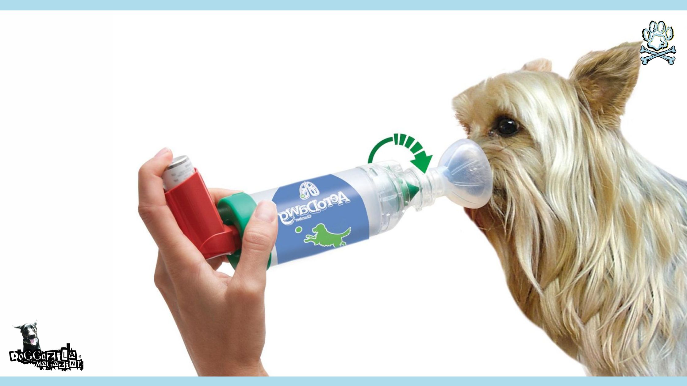 Asthma in Dogs