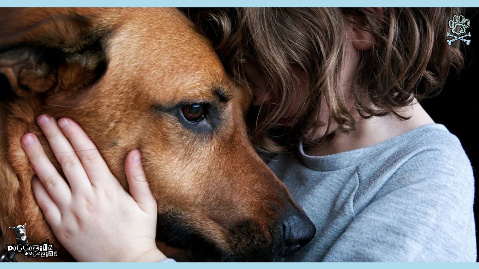 Depression in Dogs