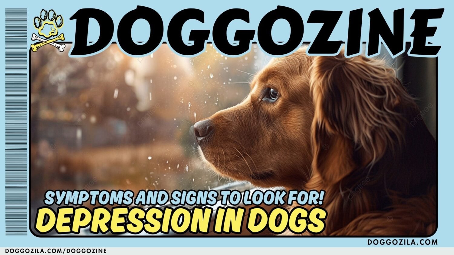 Depression in Dogs