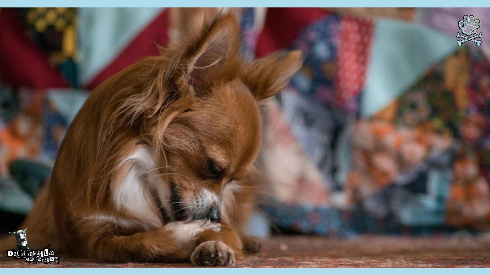 cute brown puppy relaxing