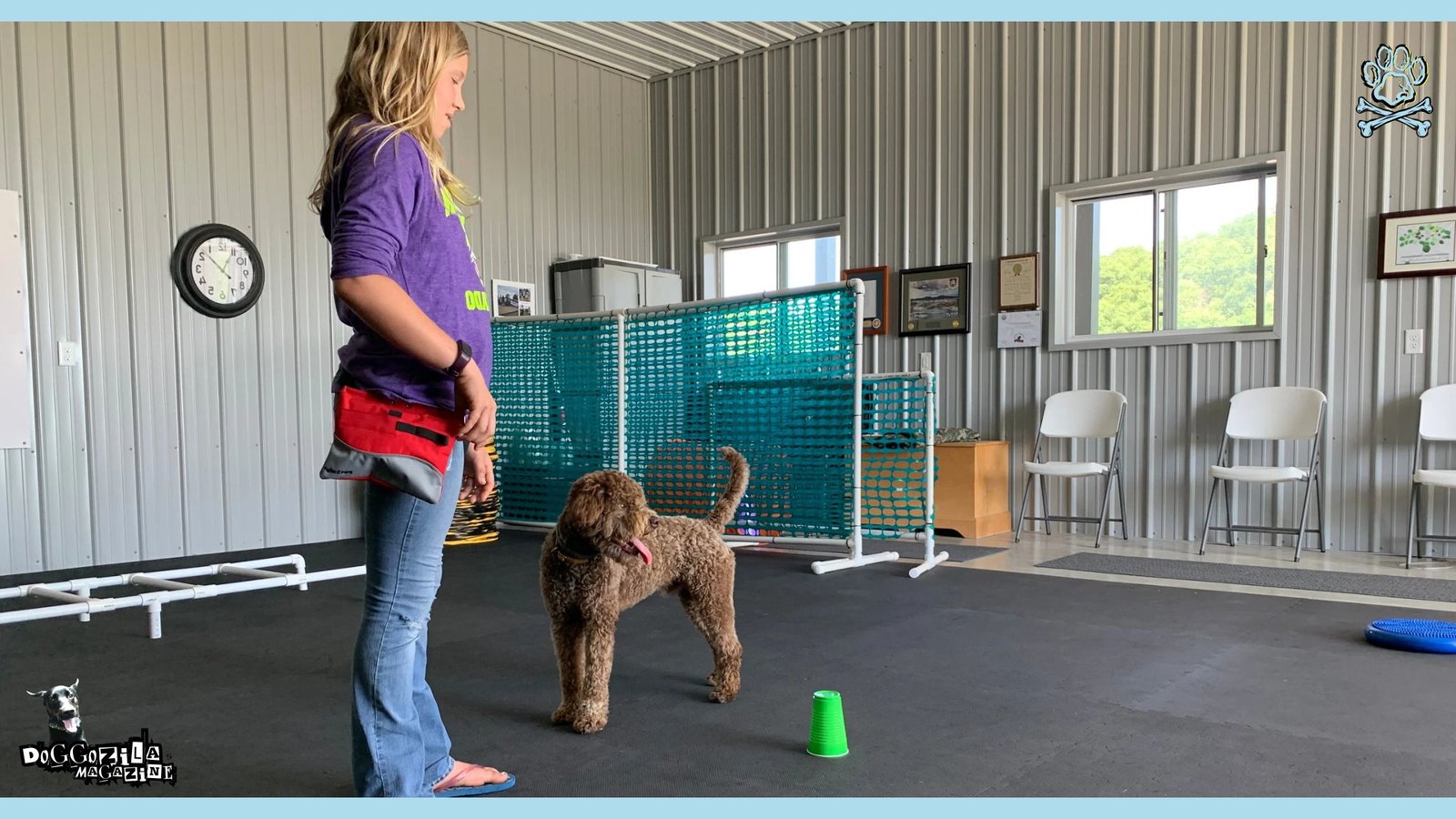 puppy at training