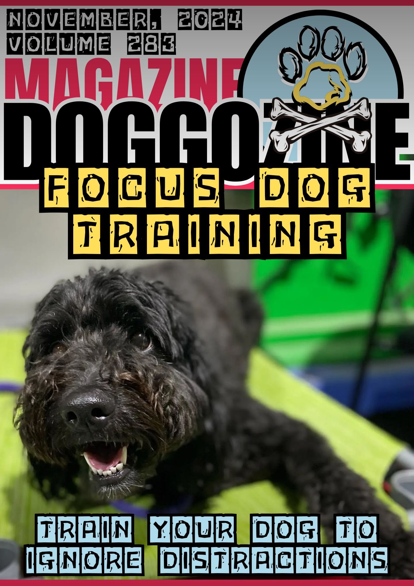 Focus Dog Training