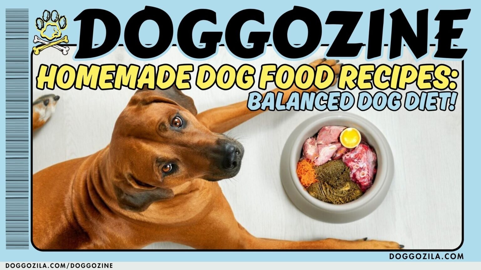 Homemade Dog Food Recipes