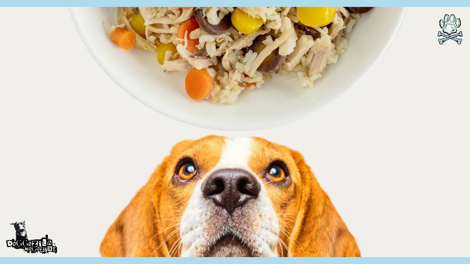 puppy looking at his food bowl