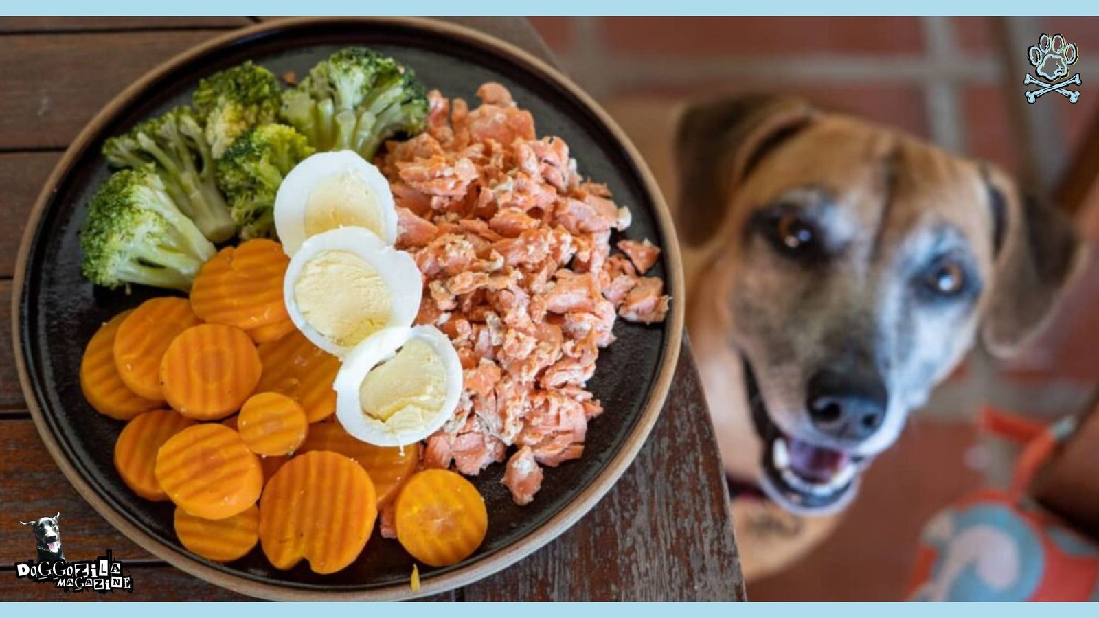 puppy looking at his food bowl