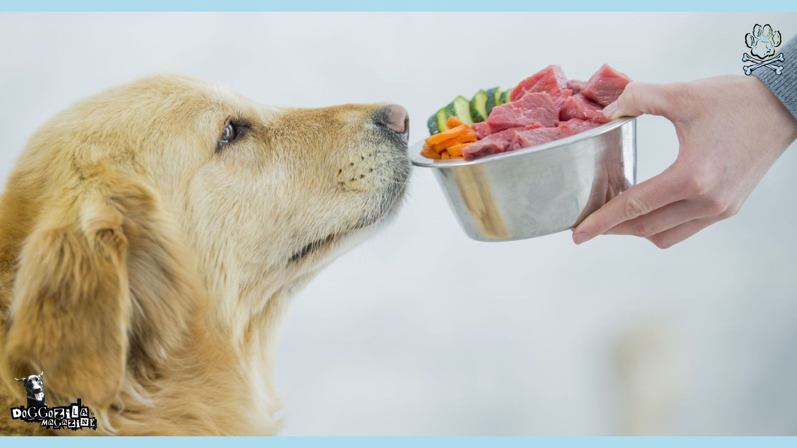 Homemade Dog Food Recipes