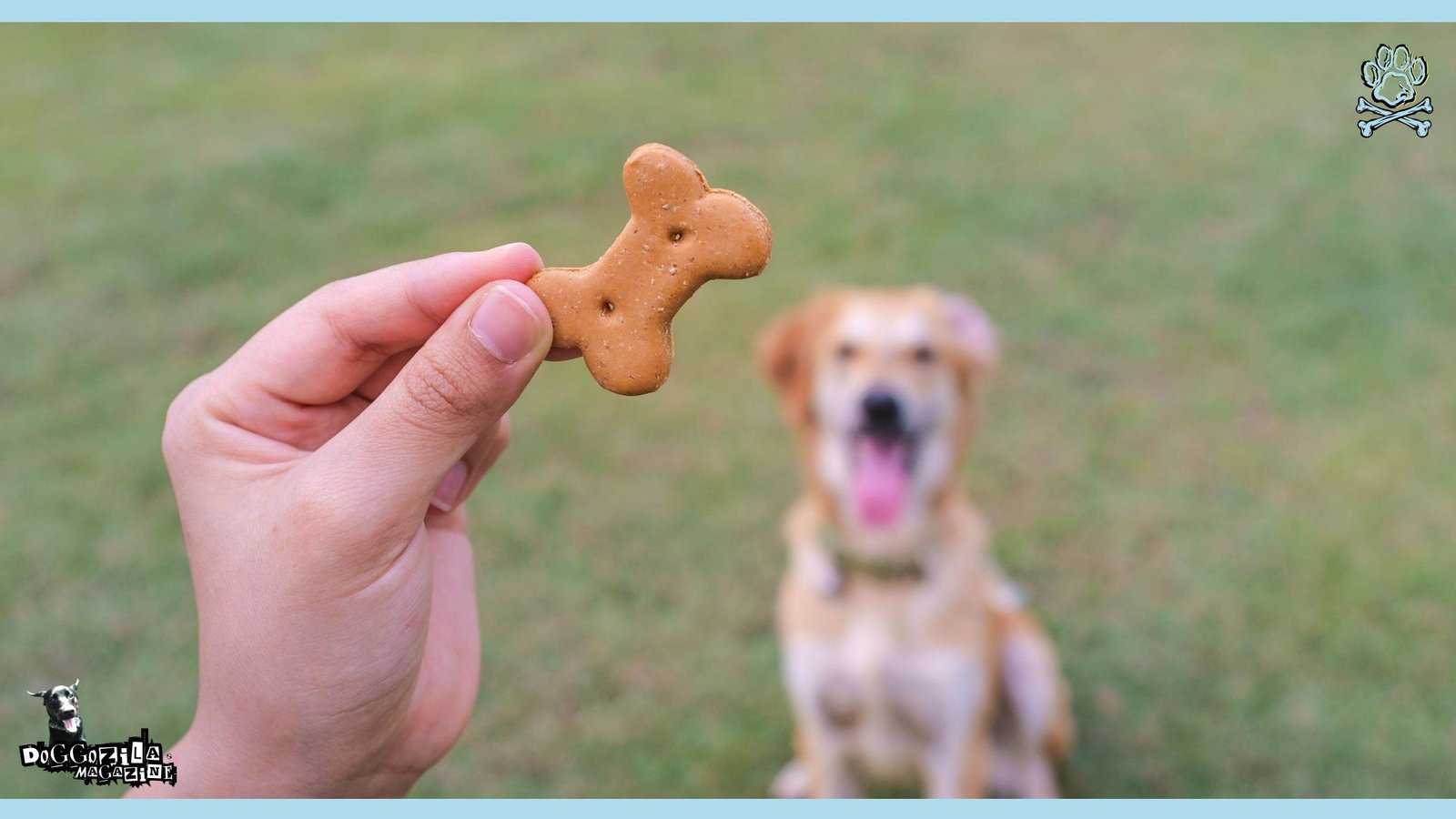 Homemade Dog Treats