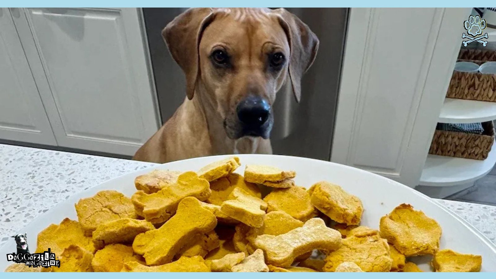 Homemade Dog Treats