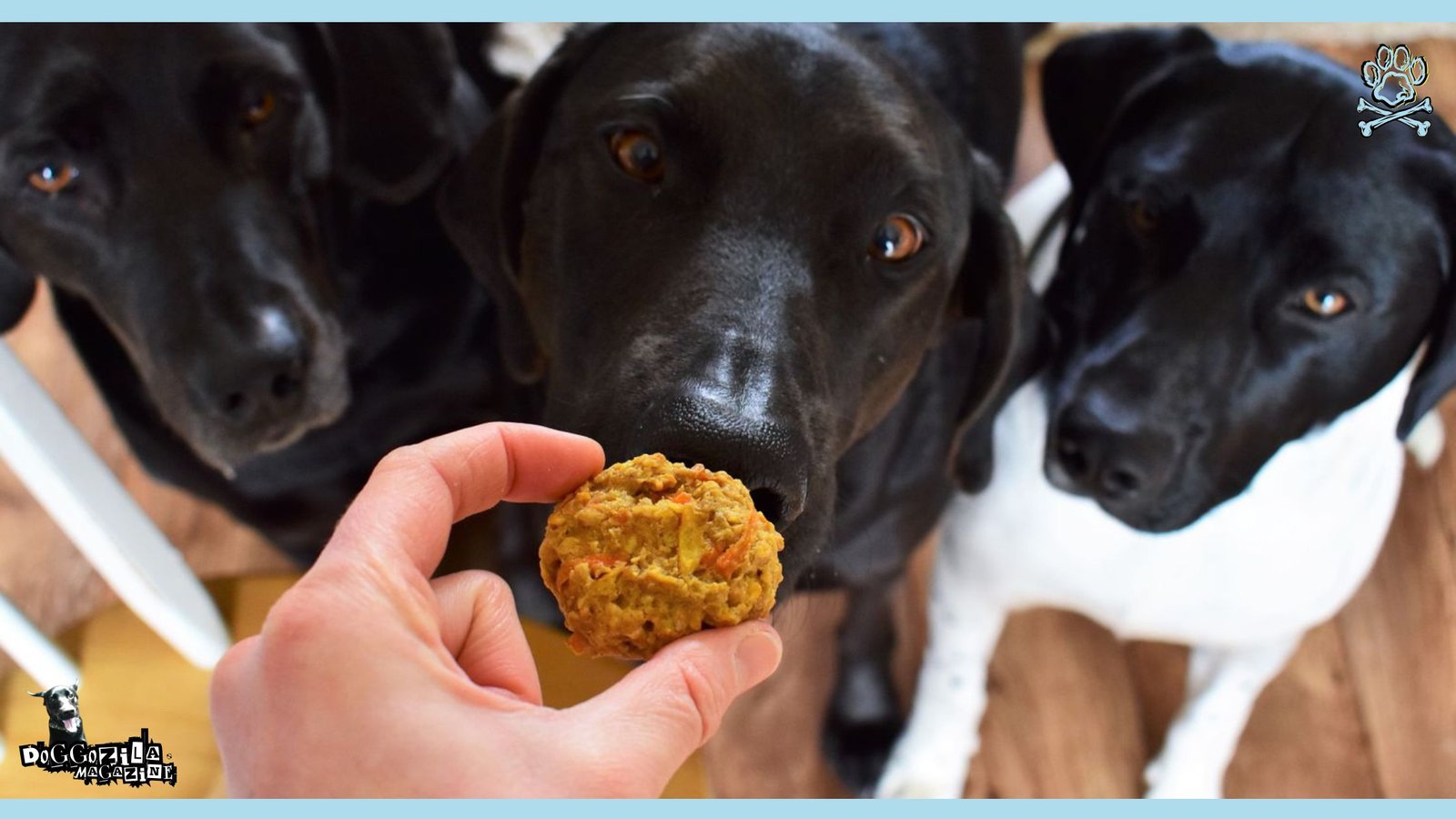 Homemade Dog Treats