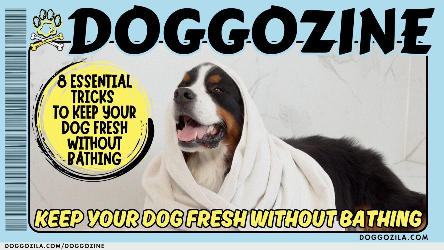 KEEP YOUR DOG FRESH WITHOUT BATHING