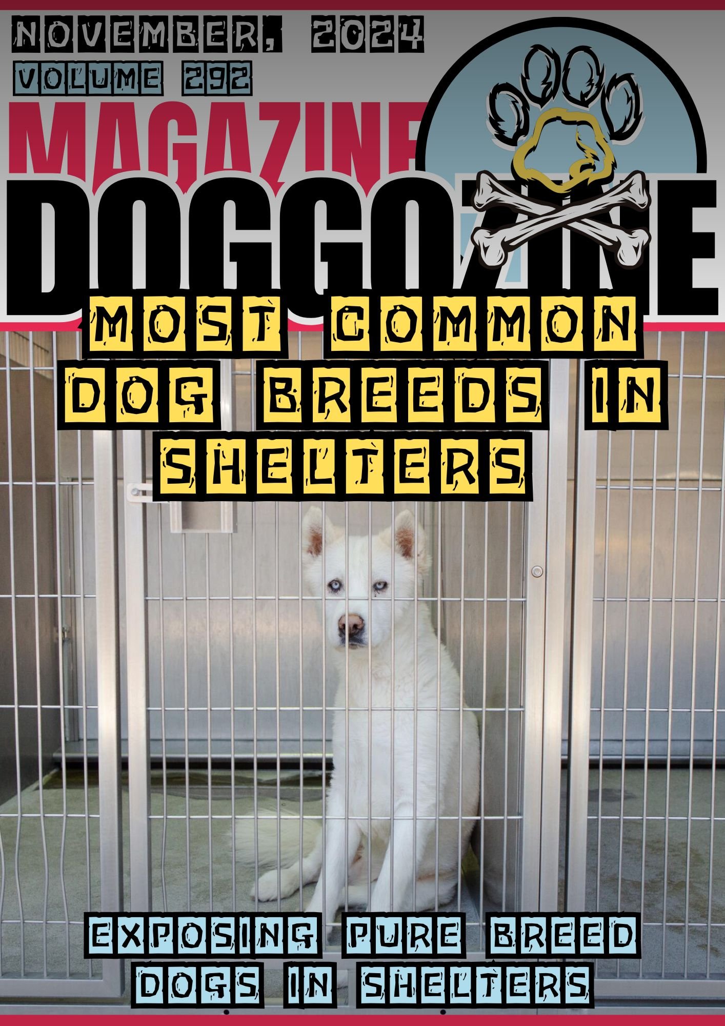 Most Common Dog Breeds in Shelters